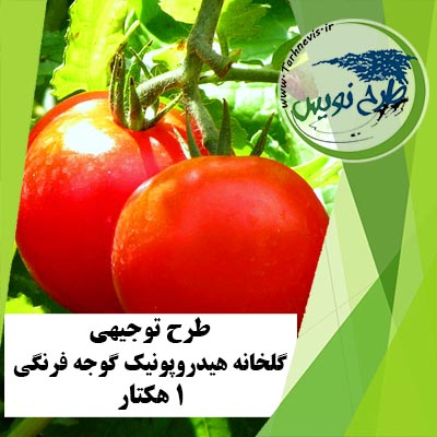 طرح توجیهی گلخانه هیدروپونیک گوجه فرنگی 1 هکتار