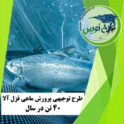 طرح توجیهی پرورش ماهی قزا آلا 40 تن