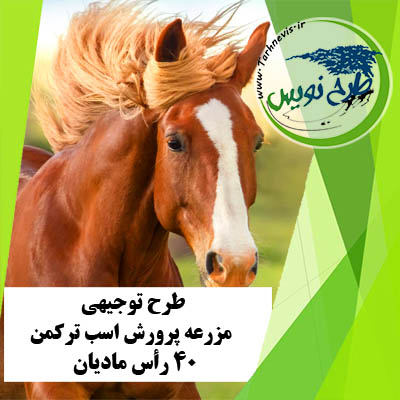 طرح توجیهی پرورش اسب ترکمن 40 رأس