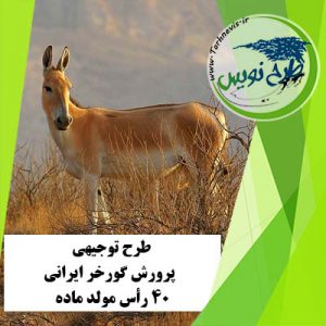 طرح توجیهی پرورش گورخر ایرانی 40 رأس مولد ماده