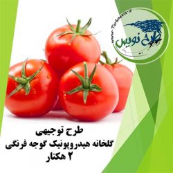 طرح توجیهی گلخانه هیدروپونیک گوجه فرنگی 2 هکتار