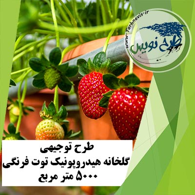 طرح توجیهی گلخانه هیدروپونیک توت فرنگی 5000 متر مربع