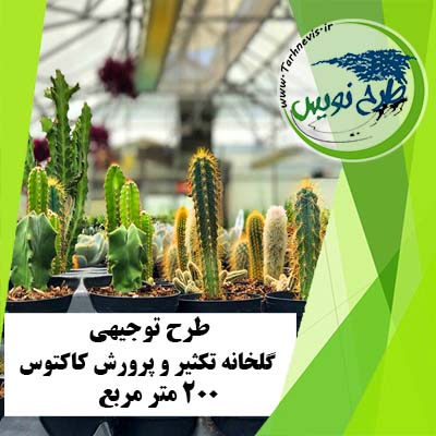 طرح توجیهی گلخانه کاکتوس 200 مترمربع