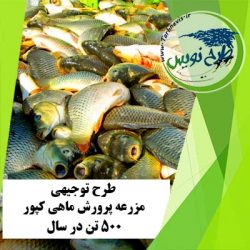 طرح توجیهی پرورش ماهی کپور 500 تن در سال