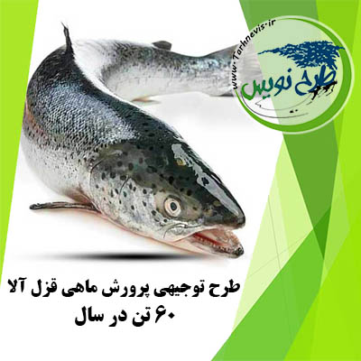 طرح توجیهی پرورش ماهی قزا آلا 60 تن