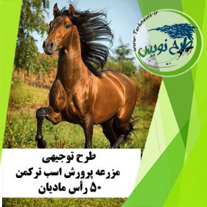 طرح توجیهی پرورش اسب ترکمن 50 رأس مادیان