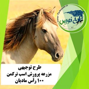 طرح توجیهی پرورش اسب ترکمن 100 رأس مادیان