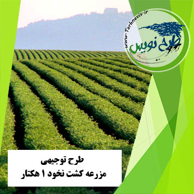 طرح توجیهی مزرعه کشت نخود 1 هکتار