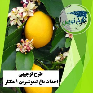 طرح توجیهی احداث باغ لیمو شیرین 1 هکتار