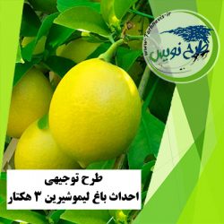 طرح توجیهی احداث باغ لیمو شیرین 3 هکتار