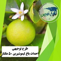طرح توجیهی احداث باغ لیمو شیرین 50 هکتار
