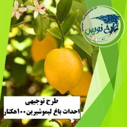 طرح توجیهی احداث باغ لیمو شیرین 100 هکتار