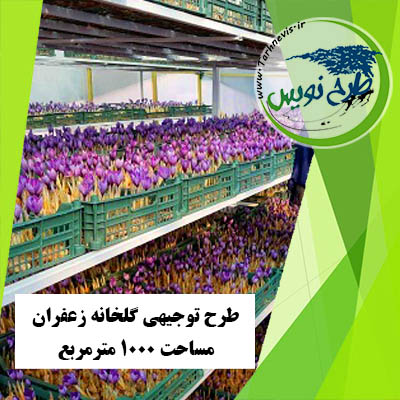 طرح توجیهی گلخانه زعفران 1000 مترمربع